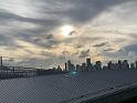 IMG_7910