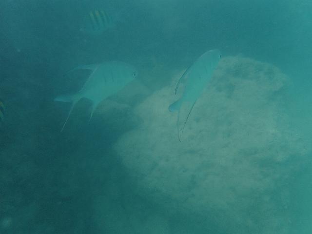PB060347.JPG