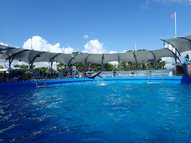 PB080499.JPG