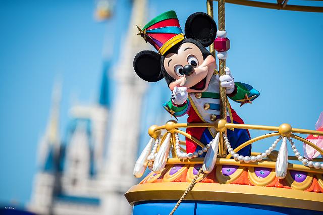 wd032wdw2015091212986848.jpeg