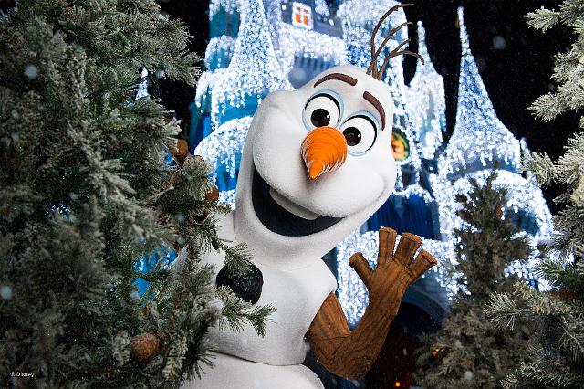 wd046wdw2015313338539875.jpeg