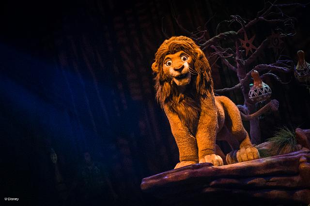 wd052wdw2015089211614877.jpeg