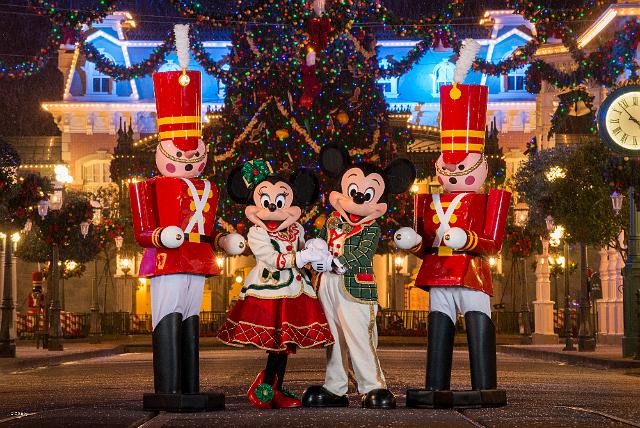 wd062wdw2015314339172148.jpeg