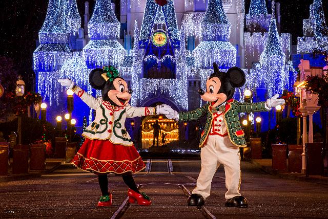 wd067wdw2015314339171369.jpeg