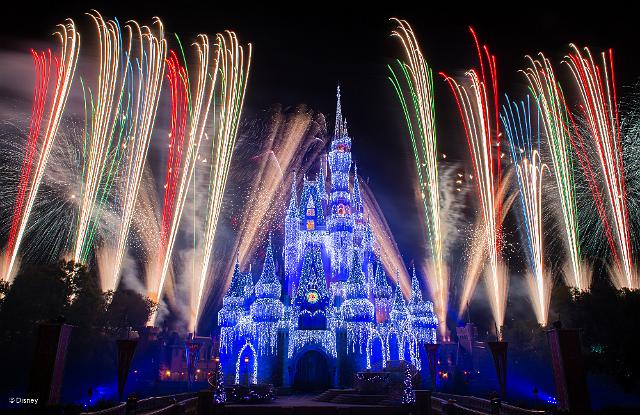 wd071wdw2015314339172125.jpeg