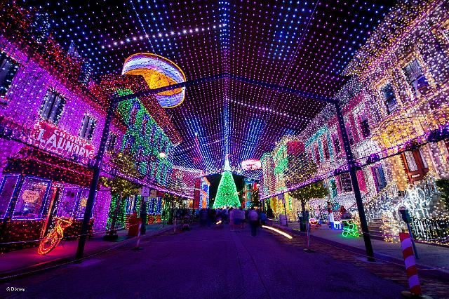 wd090wdw2015313338539919.jpeg