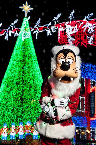 wd095wdw2015314339165904.jpeg