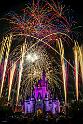 wd036wdw2015091212907416