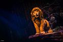 wd052wdw2015089211614877