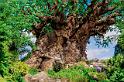 wd056wdw2015089211614816