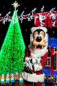 wd095wdw2015314339165904