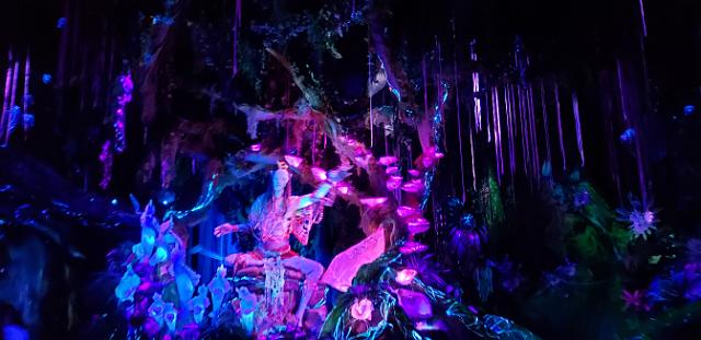 20190925_190153.jpg