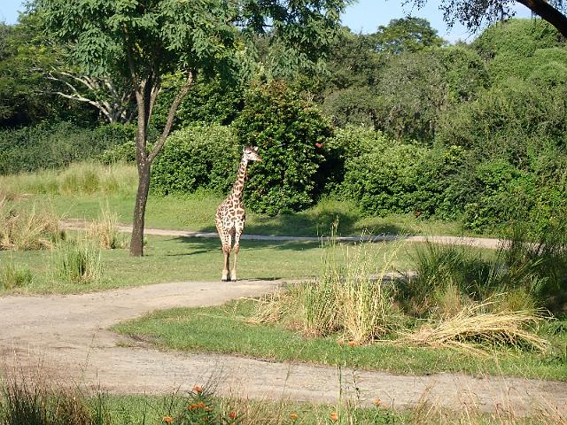 P9250301.JPG