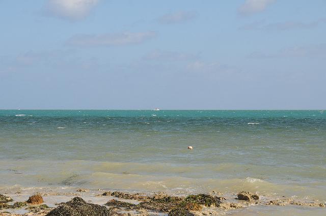 DJK_7533.JPG