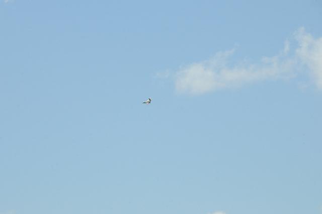 DJK_4484.JPG