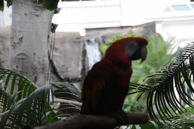 DJK_4615.JPG