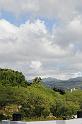 DJK_4448