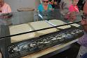 DJK_4490