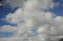 DJK_4601