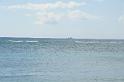 DJK_4605
