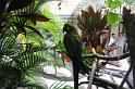 DJK_4609