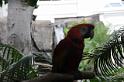 DJK_4615