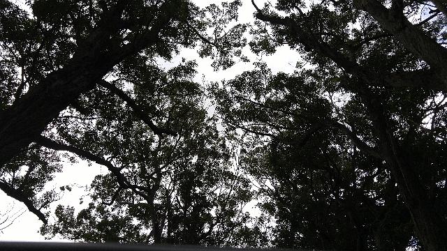 20161105_115052_HDR.jpg - HB = 0,6,-7 FN=0 lidx=140.22   FM0   FC111111111:zzzzzz0 8 8c 078043874441663838014c0 bac2fd1597c52859214788528efc13573fa840014d4fab53bb153882197cf1597d8684d115d70ec70741536a4b6ad7