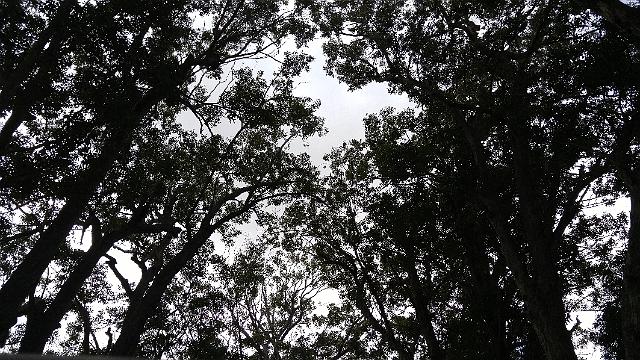 20161105_115054_HDR.jpg - HB = 0,6,-6 FN=0 lidx=146.78   FM0   FC111111111:zzzzzz0 8 92 078043874441663838014c0 bac2fd1597c52859214788528efc13573fa840014d4fab53bb153882197cf1597d8684d115d70ec70741536a4b6ad7
