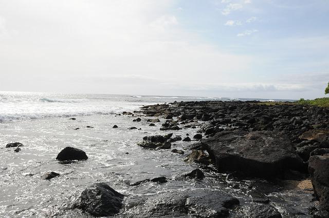 DJK_4837.JPG