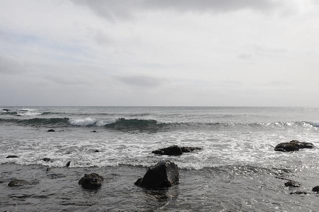 DJK_4838.JPG