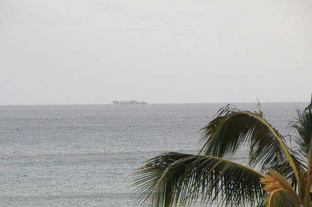 DJK_4884.JPG