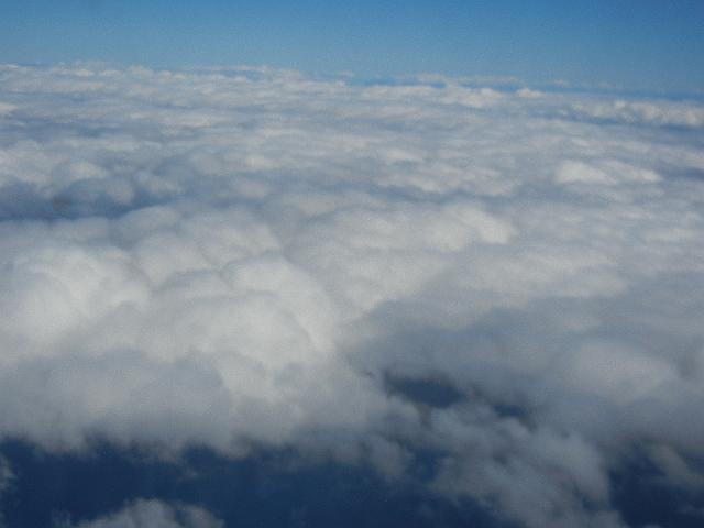 DSCN5126.JPG