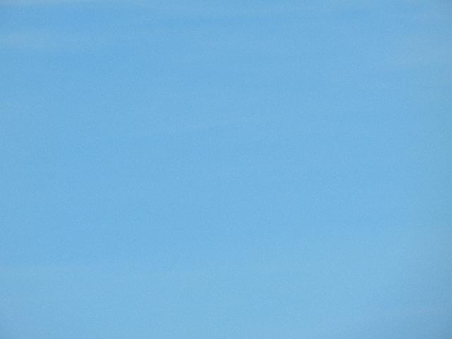 DSCN5153.JPG