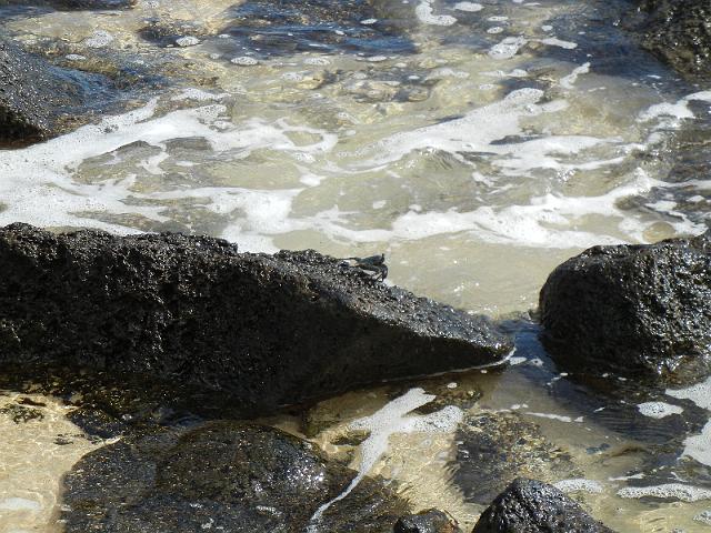 DSCN5160.JPG