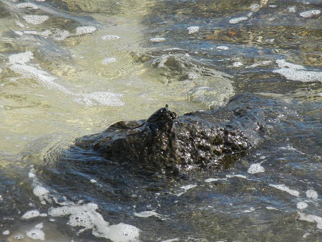 DSCN5161.JPG