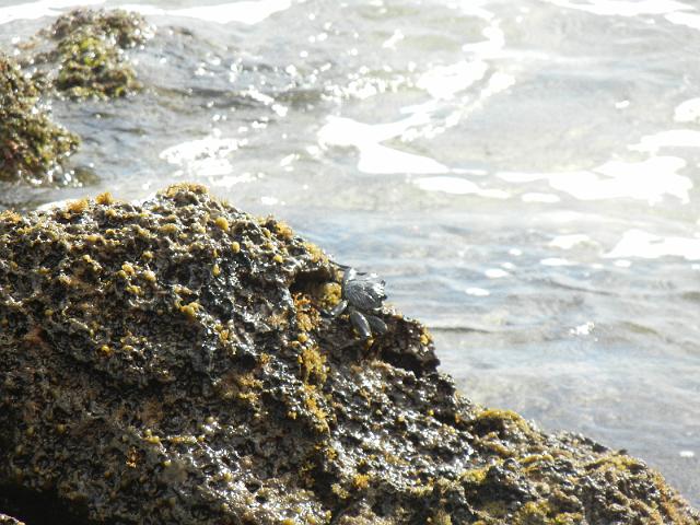 DSCN5162.JPG