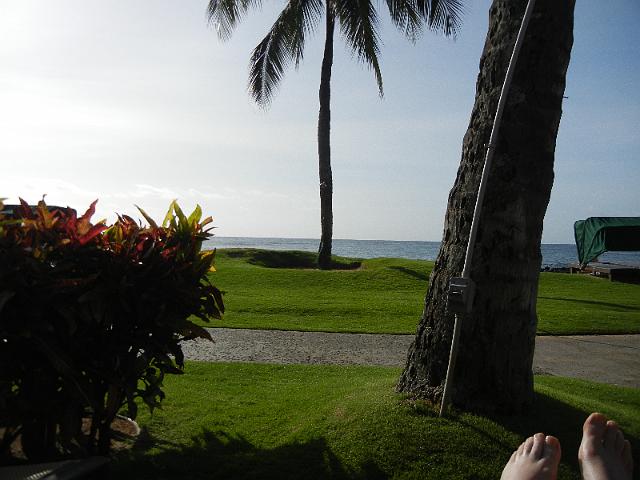 DSCN5176.JPG