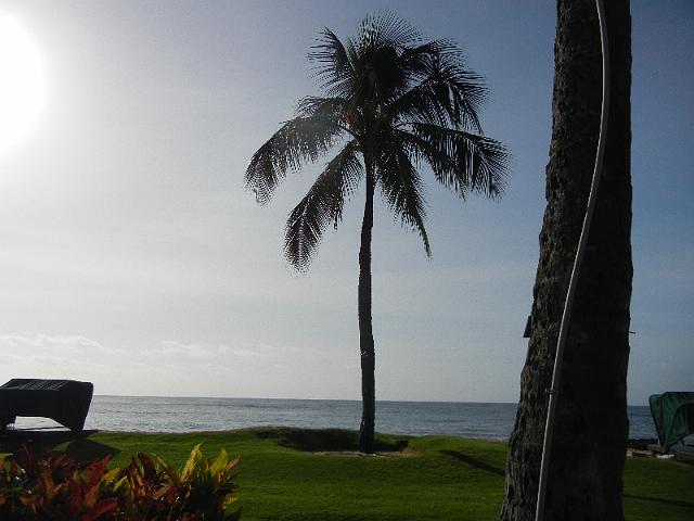 DSCN5177.JPG