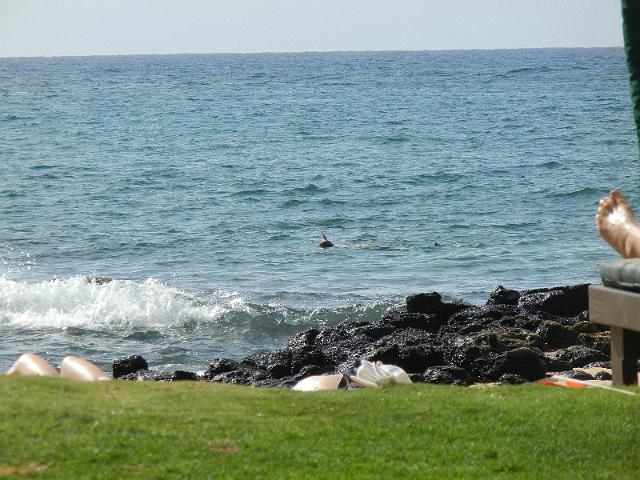 DSCN5185.JPG