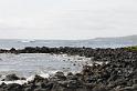 DJK_4820