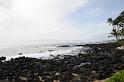 DJK_4826