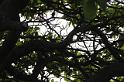 DJK_4844