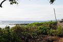 DJK_4851