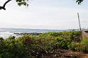 DJK_4856