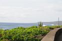 DJK_4857