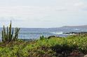DJK_4859
