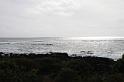 DJK_4861