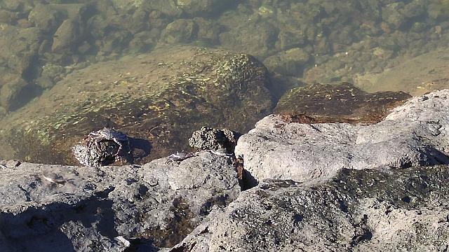 20161113_085847_HDR.jpg - SZ_level(5.080000) X NR(0)   FM0   FC111111111:zzzzzz0 b c72337804388d24f631c1c014c0 bac2fd159117218e1147115e17c813514ec1c7b123 bbe101413b 75a a40141 d201143147108c155f14d144119c115316ec1c7d15917a31d61153150419bb