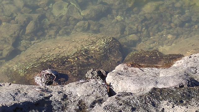 20161113_085849_HDR.jpg - SZ_level(5.080000) X NR(0)   FM0   FC101111111:zzzzzz0 8 c52337804388d24f631c1c014c0 bac2fd1591104 eb21471111 ec1135 ca1 a7514d 710 51e153 ec6 c9015910e0 e7e15d112b e8e159 ff9 d5a