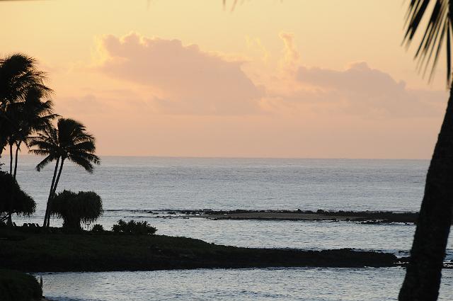 DJK_5031.JPG